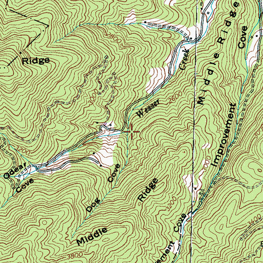 Topographic Map of Dog Cove, NC