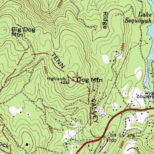 Topographic Map of Dog Mountain, NC