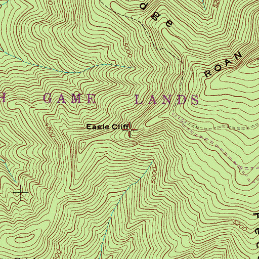 Topographic Map of Eagle Cliff, NC
