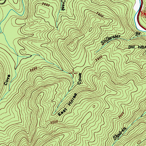 Topographic Map of East Horse Cove, NC