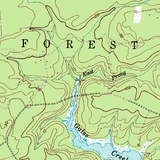 Topographic Map of East Prong Gales Creek, NC