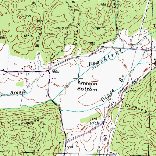 Topographic Map of Elliott Branch, NC
