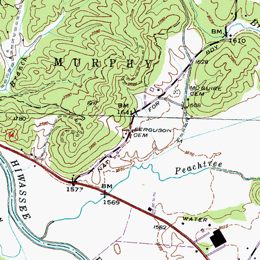 Topographic Map of Ferguson Cemetery, NC