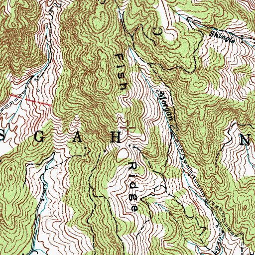 Topographic Map of Fish Ridge, NC