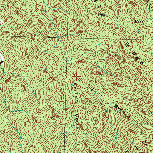 Topographic Map of Flat Branch, NC
