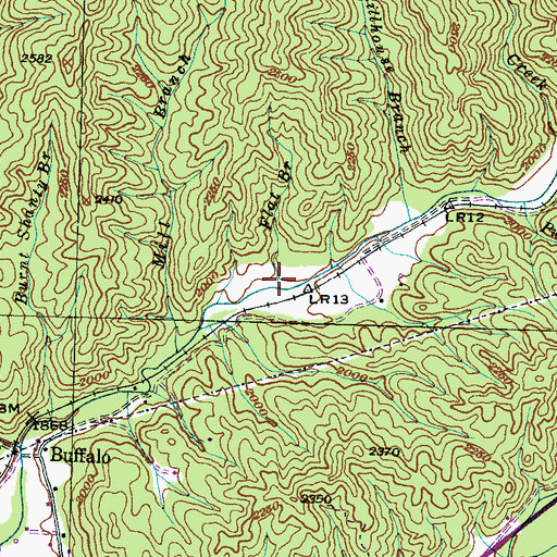 Topographic Map of Flat Branch, NC