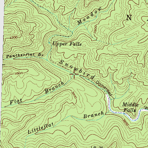 Topographic Map of Flat Branch, NC