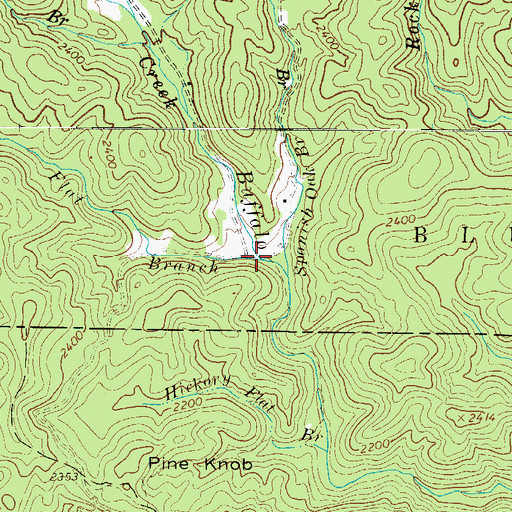 Topographic Map of Flat Branch, NC