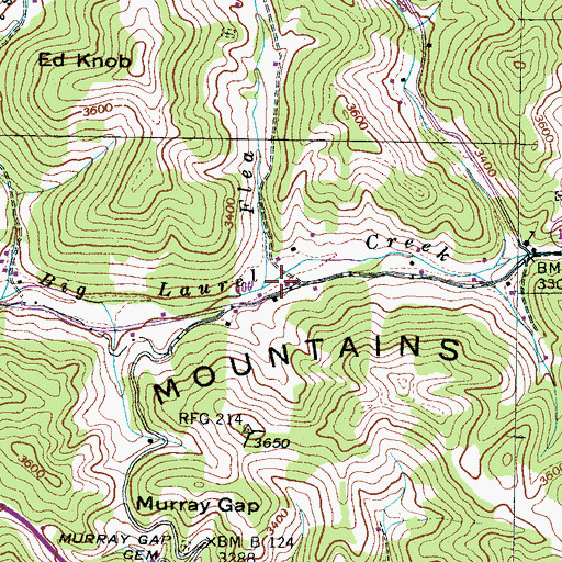 Topographic Map of Flea Branch, NC