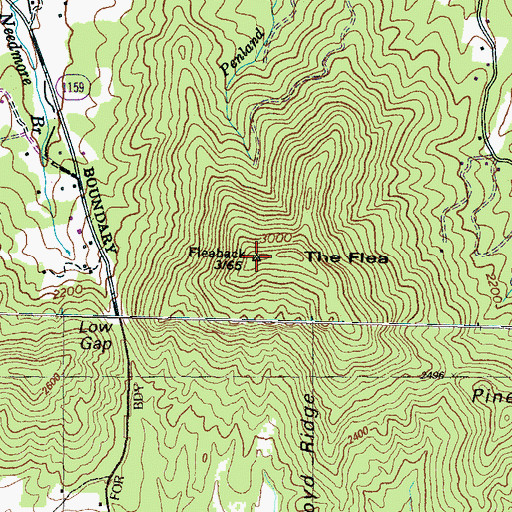 Topographic Map of The Flea, NC