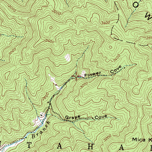 Topographic Map of Flower Cove, NC