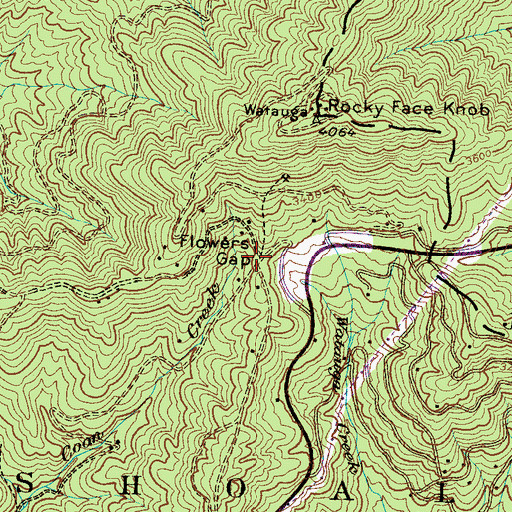 Topographic Map of Flowers Gap, NC
