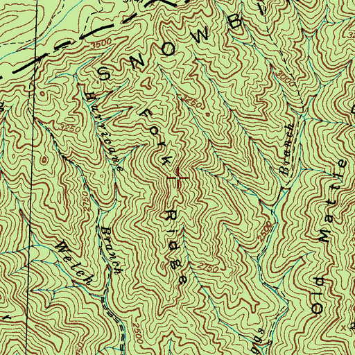 Topographic Map of Fork Ridge, NC