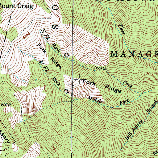 Topographic Map of Fork Ridge, NC