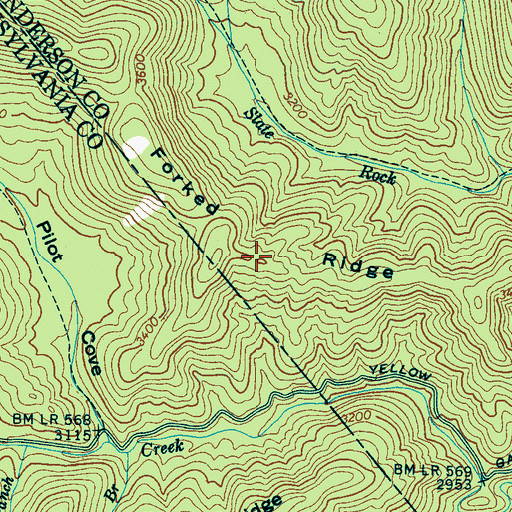 Topographic Map of Forked Ridge, NC
