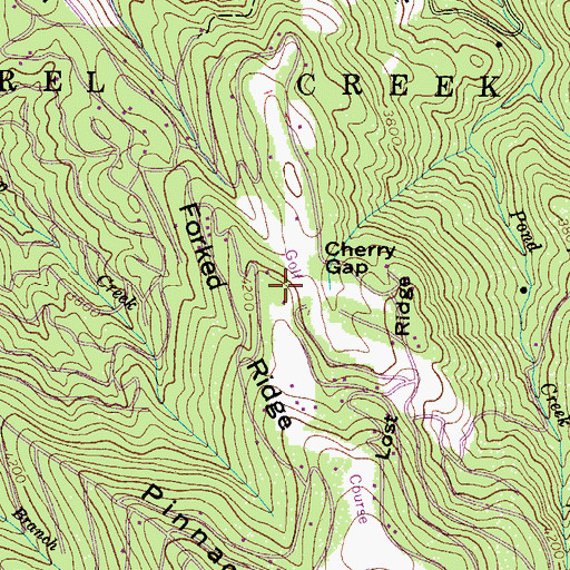 Topographic Map of Forked Ridge, NC