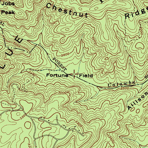 Topographic Map of Fortune Field, NC