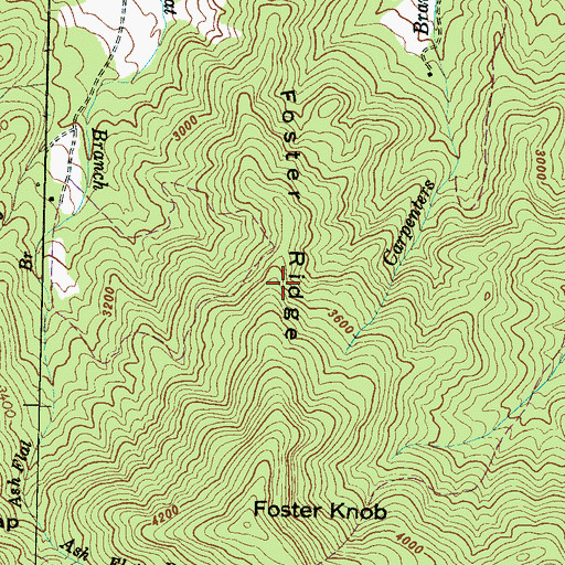 Topographic Map of Foster Ridge, NC
