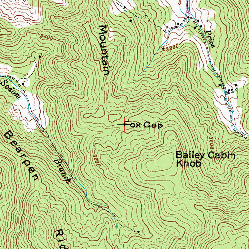 Topographic Map of Fox Gap, NC
