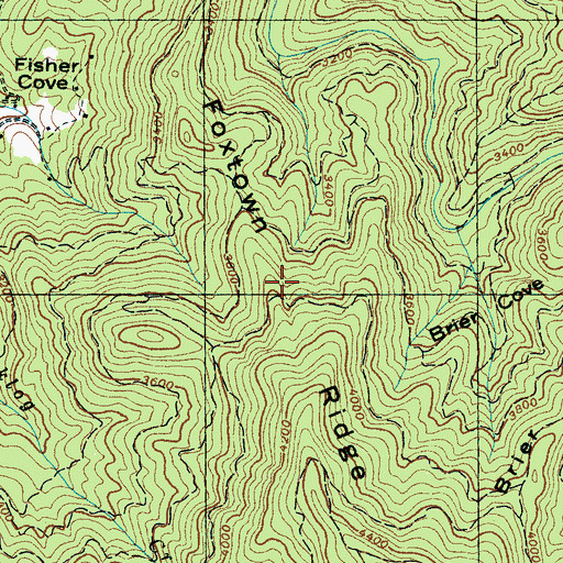 Topographic Map of Foxtown Ridge, NC