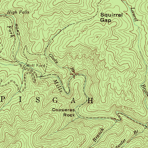 Topographic Map of Glady Branch, NC