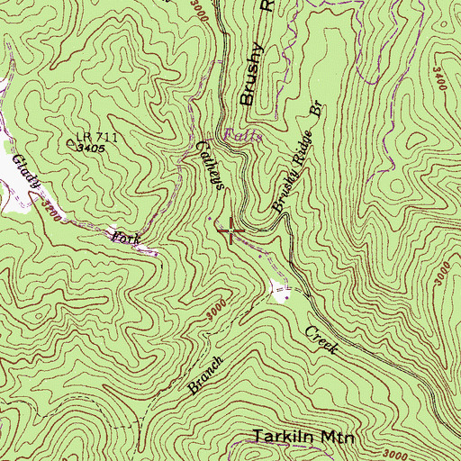 Topographic Map of Glady Fork, NC