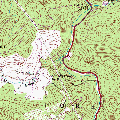 Topographic Map of Gold Mine Branch, NC