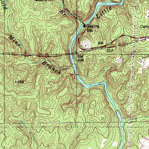 Topographic Map of Gold Mine Branch, NC