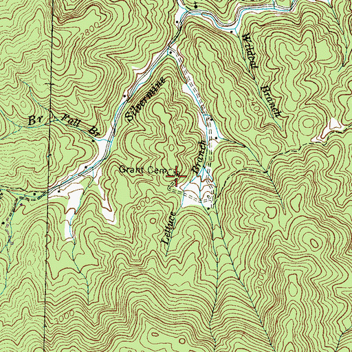 Topographic Map of Grant Cemetery, NC