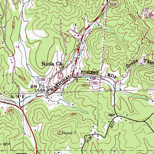 Topographic Map of Grape Thicket Branch, NC