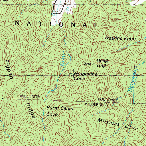 Topographic Map of Grapevine Cove, NC