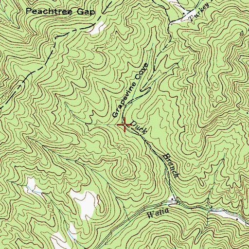 Topographic Map of Grapevine Cove, NC