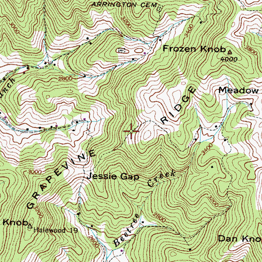 Topographic Map of Grapevine Ridge, NC
