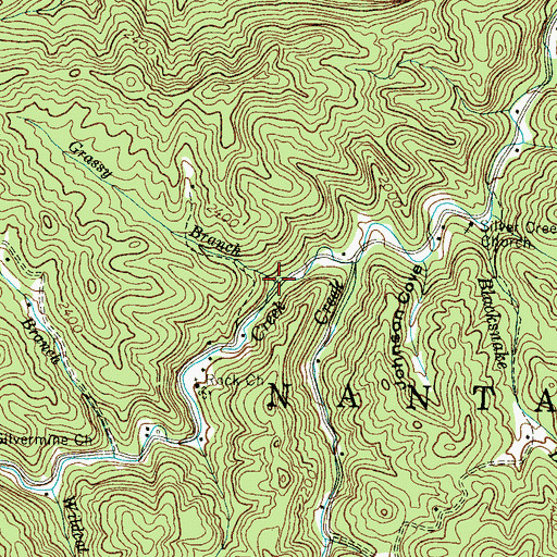 Topographic Map of Grassy Branch, NC
