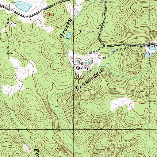 Topographic Map of Grassy Fork, NC