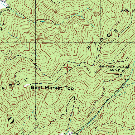 Topographic Map of Grassy Ridge, NC