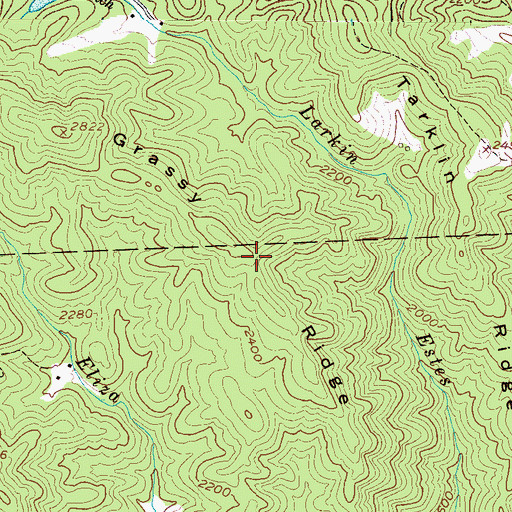 Topographic Map of Grassy Ridge, NC