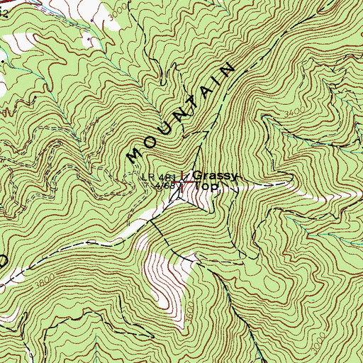 Topographic Map of Grassy Top, NC
