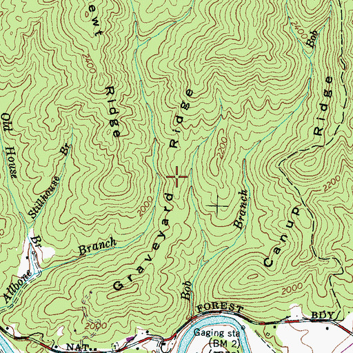 Topographic Map of Graveyard Ridge, NC