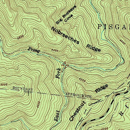 Topographic Map of Greasy Cove Prong, NC