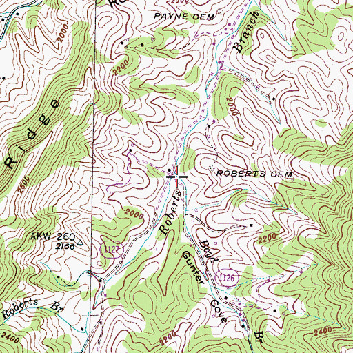 Topographic Map of Gunter Cove, NC
