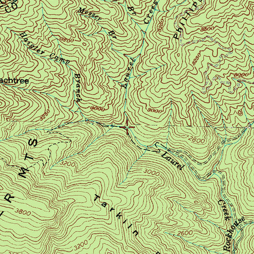 Topographic Map of Haigler Camp Branch, NC