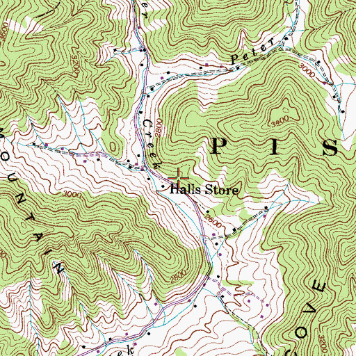 Topographic Map of Halls Store, NC