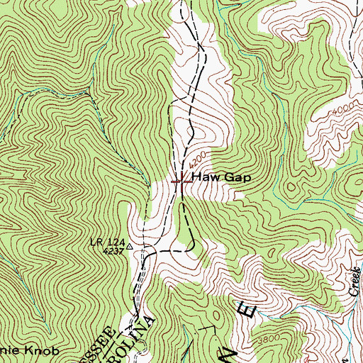 Topographic Map of Haw Gap, NC