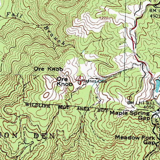 Topographic Map of Haynes Cemetery, NC