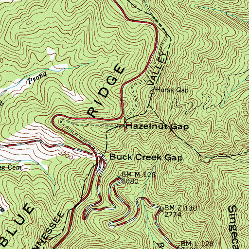 Topographic Map of Hazelnut Gap, NC