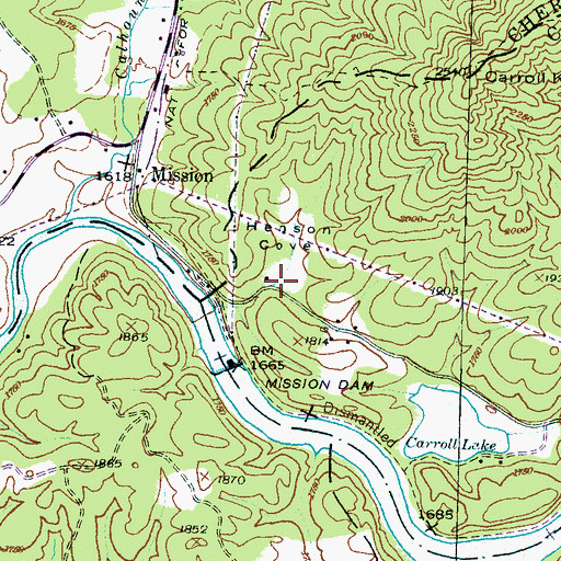 Topographic Map of Henson Cove, NC