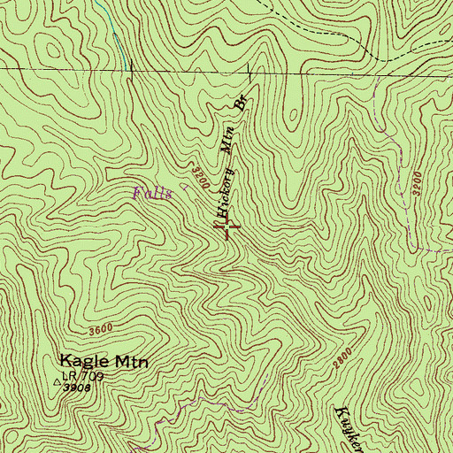 Topographic Map of Hickory Mountain Branch, NC