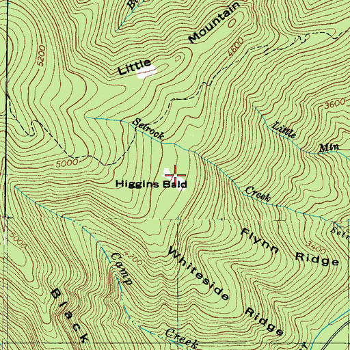 Topographic Map of Higgins Bald, NC