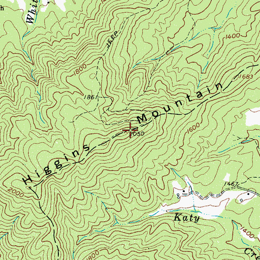 Topographic Map of Higgins Mountain, NC